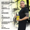 Изотоник STEELPOWER ASSIST, 400 гр, Груша